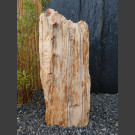 versteinertes Holz  88cm