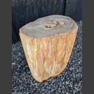 kruk versteend hout gepolijst 65,2kg